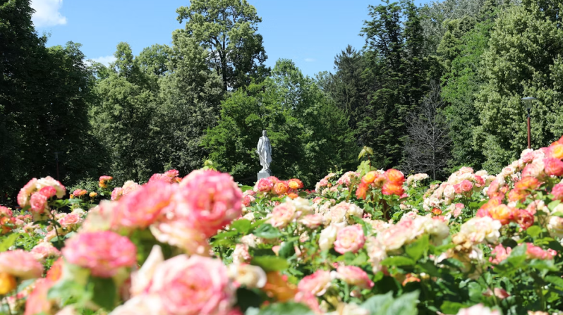 Parks and Gardens of Bratislava