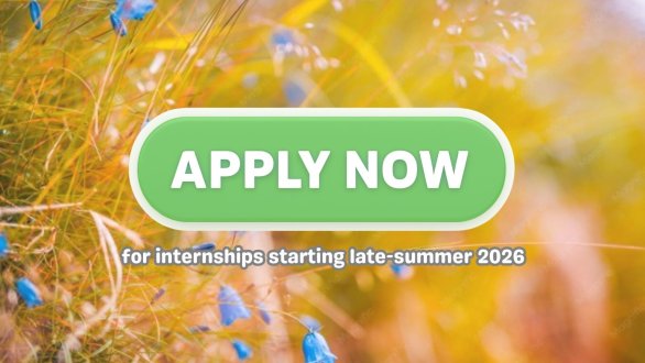 Late-Summer Call 2026 for Internship Applications Now Open! 
